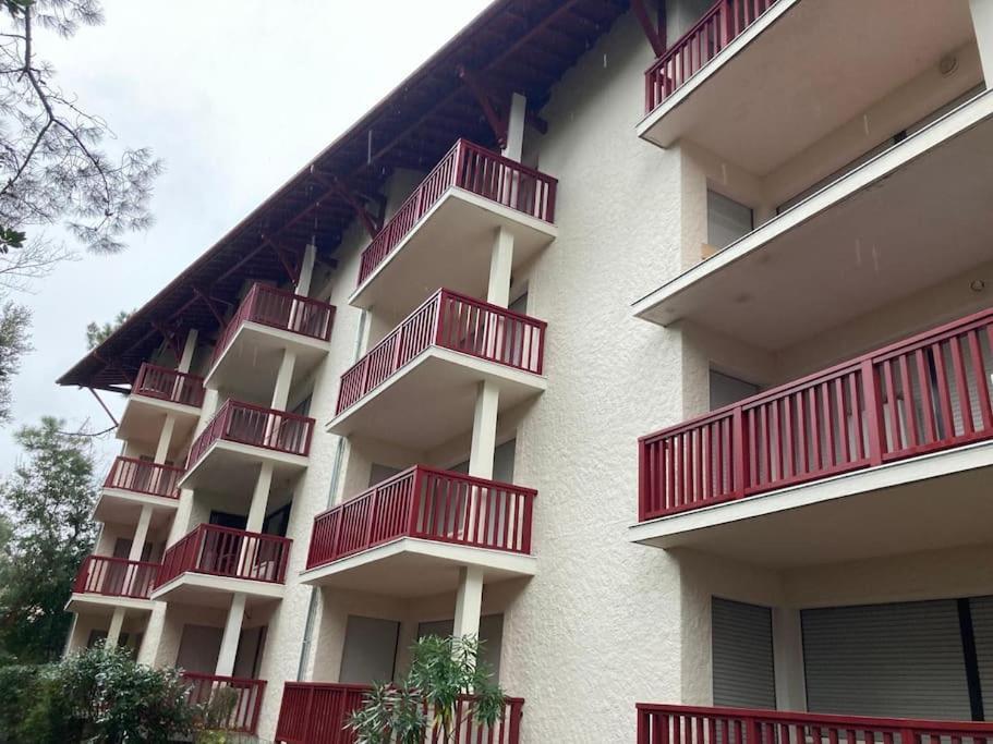 Appartement Calme Et Familial Au Centre D'Hossegor 索尔特奥瑟戈尔 外观 照片